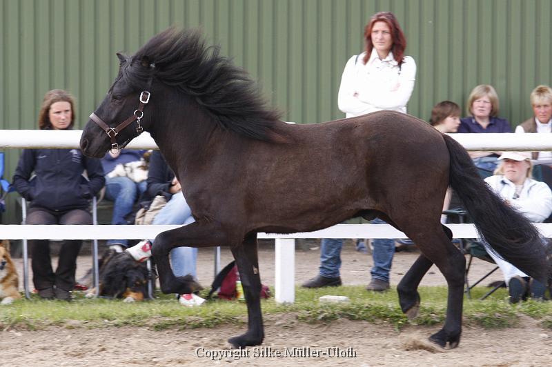 Noah von Heidmoor (10).JPG